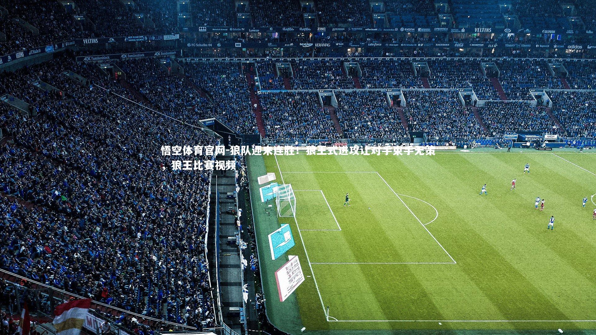 狼队迎来连胜！狼王式进攻让对手束手无策，狼王比赛视频
