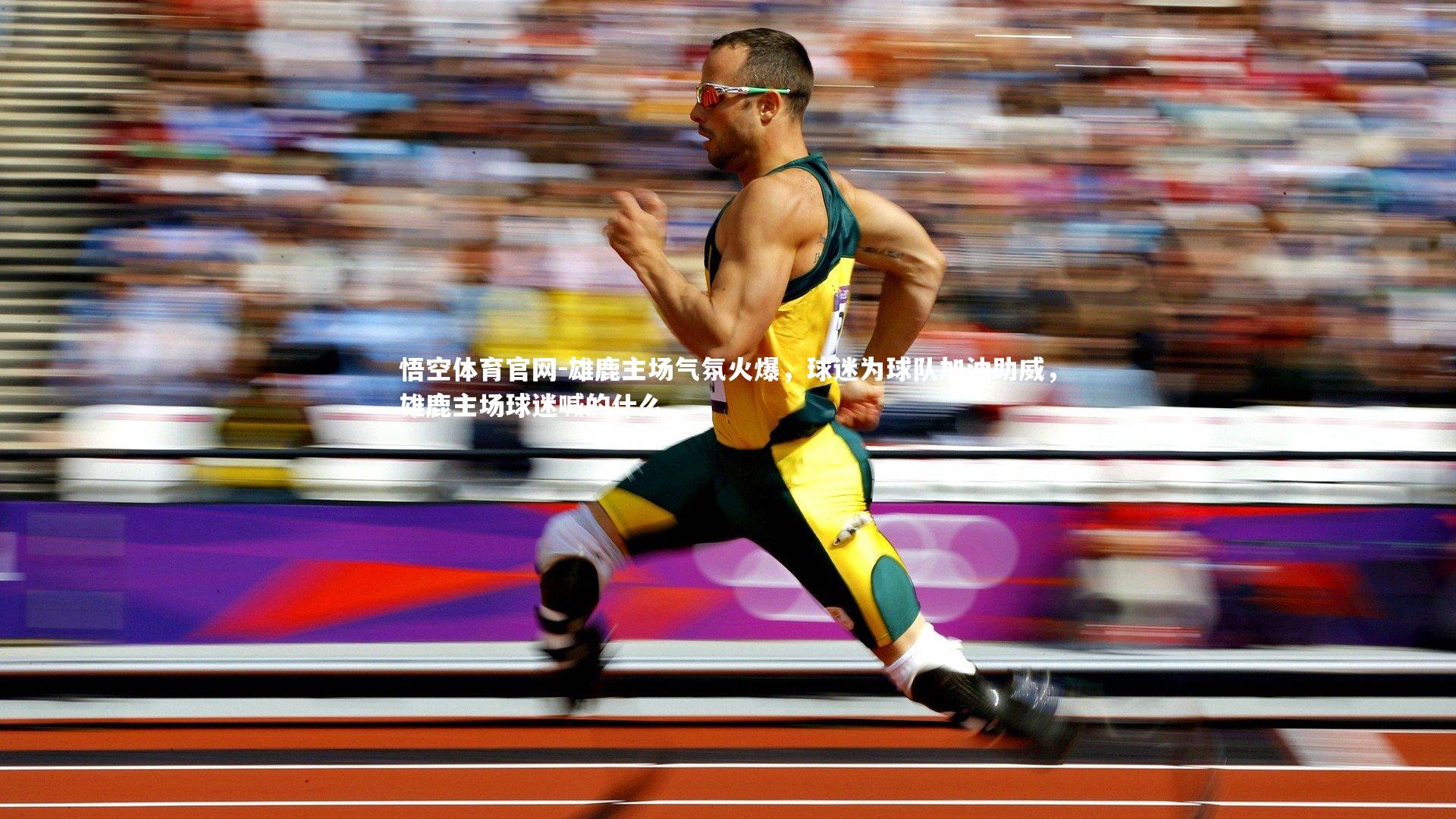 悟空体育官网-雄鹿主场气氛火爆，球迷为球队加油助威，雄鹿主场球迷喊的什么